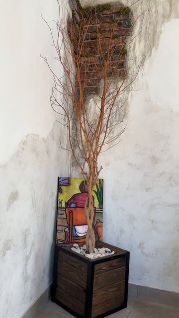 #shorts #shortvideo #travel #брест_беларусь #brestlife #beautiful #new #top #втренды #врек #кафе смотреть онлайн