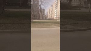 Пермь/Городской маршрут 59/Маз 203.016/К.Леоново-Авиагородок/