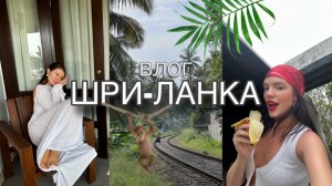 Шри-ланка 2025 | Влог | отдых с подружкой