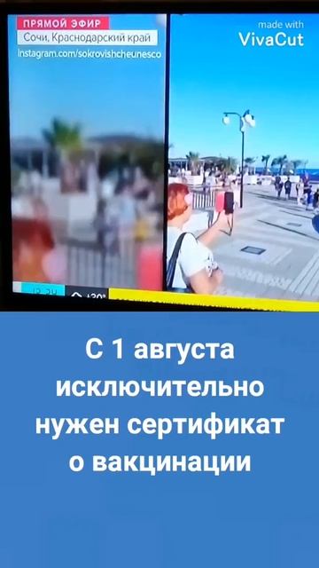 Правила размещения в гостиницах Краснодарского края с 1 июля и с 1 августа 2021г смотреть онлайн