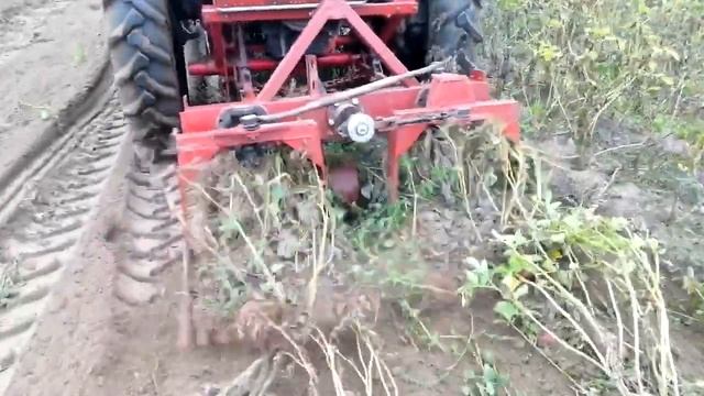 Копка картошки на тракторе Т-16 смотреть онлайн