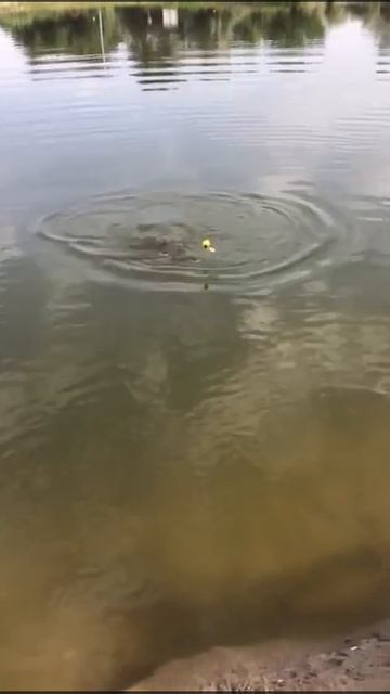 камышовый рай смотреть онлайн