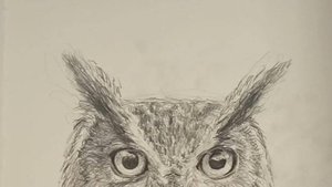 Рисуем филина