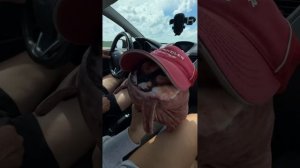 ЕДЕМ В ПУТЕШЕСТВИЕ НА МАШИНЕ🚘