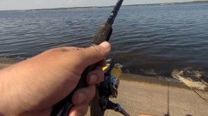 Ловлю леща на Марципан. Рыбалка на реке в жару. Лещ на фидер