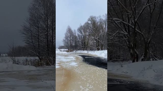 р. Осина🌊 Їзда на велосипедові🤯 смотреть онлайн