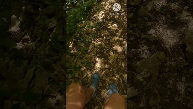 Виды с обзорных площадок Ковер, Курица и Петушок на Гуамское ущелье, х. Гуамка,а также экзит тролле