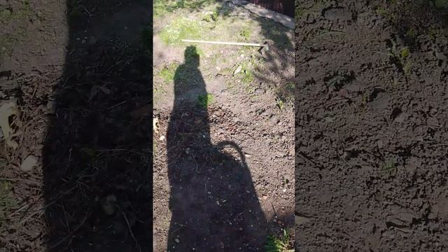 потехоньку прибераемся