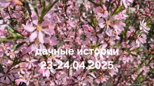 Дачные истории 23-24.04.2025г. Занимаюсь земляникой.  Переделываю грядки. Новая малина.