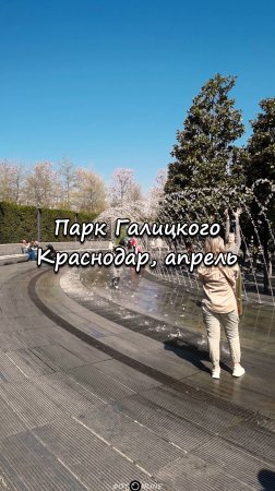 Парк Галицкого, Краснодар. 19 апреля 2025