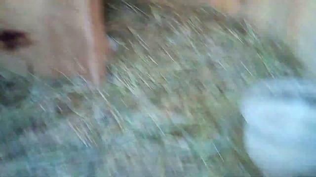 Начало моего канала смотреть онлайн