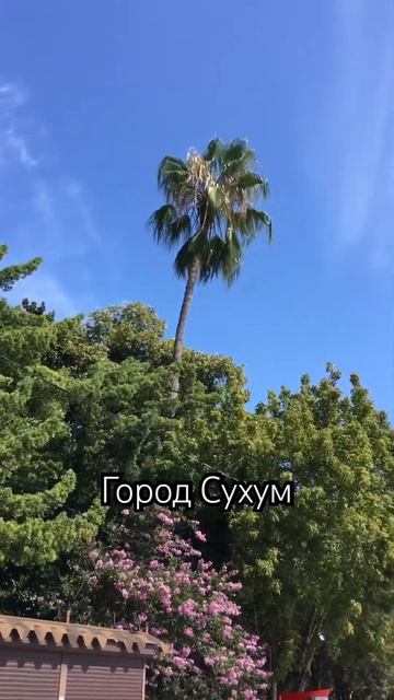 #сухум#абхазия #набережная