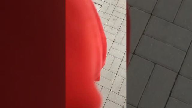 показываю отель и местность смотреть онлайн