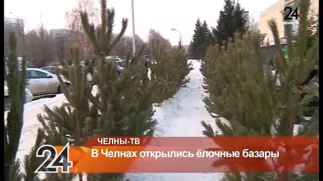 В Челнах открылись ёлочные базары смотреть онлайн