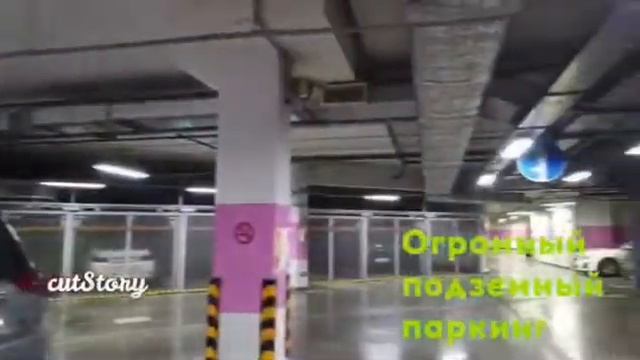 БЦ Двинцев смотреть онлайн