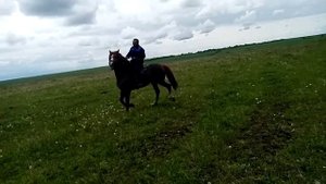 Русский тяжеловоз