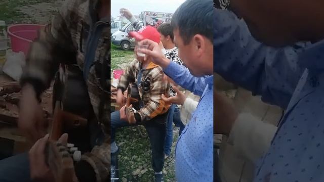 Андижан Питер смотреть онлайн