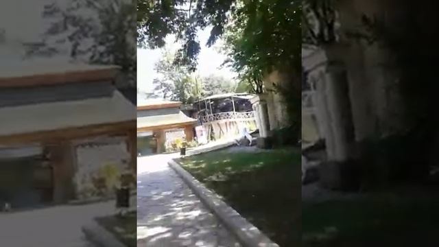 Relax Lerik, ərazi çəkilişləri - обзор территории2 07.2018 смотреть онлайн