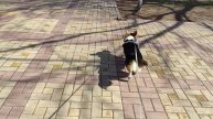 В парке уже чувствуется весна, столько разных запахов кругом гав