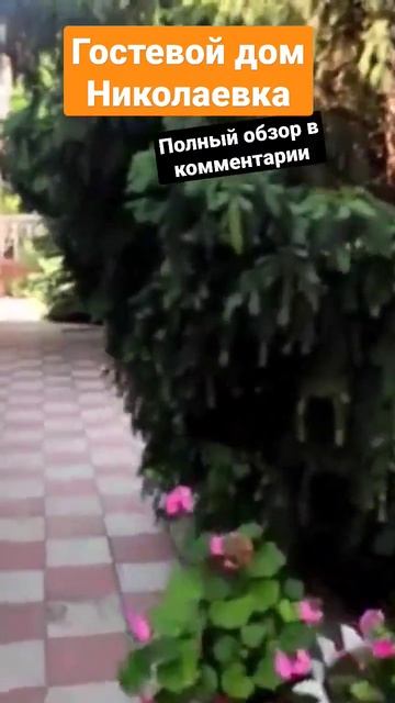 Гостевой #дом #Николаевка #shorts смотреть онлайн