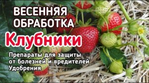 СДЕЛАЙ ТАК и ягод будет море!
