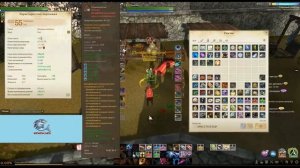 ArcheAge 1.2 Эфенский куб