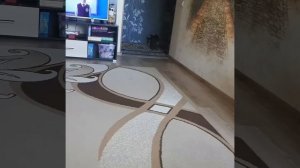 КОТ ПРИНОСИТ ТАПОЧКИ