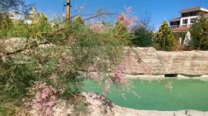АКВАПАРК В RIXOS WATER WORLD AKTAU. Чем кормят на завтрак и ужин в Риксос Актау?