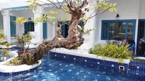 Обзор отеля Andaman Seaview Hotel 4* / Таиланд Пхукет