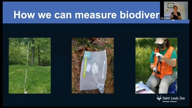 STLZOOM–Backyard Biodiversity смотреть онлайн