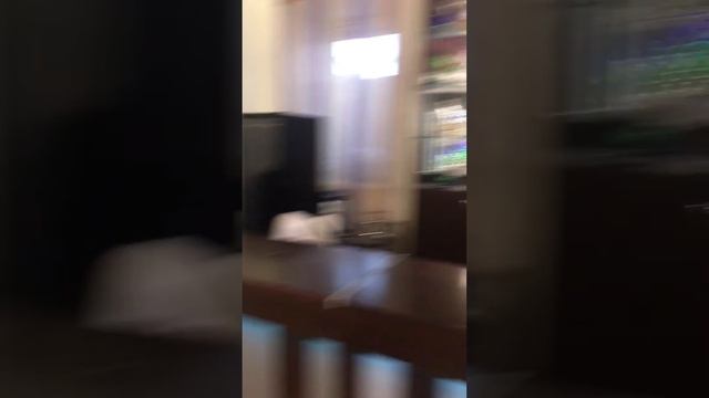 Обзор кафе Чита смотреть онлайн