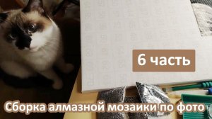 Алмазная мозаика по фото. Собираю и болтаю о рукоделии