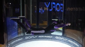 Обучающее видео GOFLY