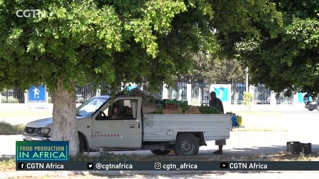 Food Production in Africa: Water, and how it impacts agriculture смотреть онлайн