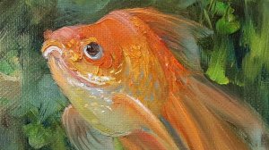 Золотая рыбка