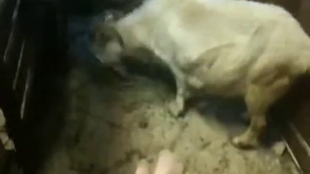 Мельниково смотреть онлайн