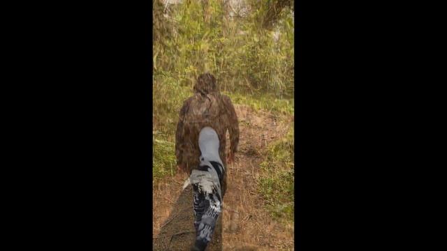 Прогулка по Сортавала (республика Карелия) смотреть онлайн