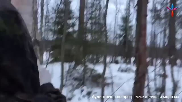 Наука выживания с Эдом Халиловым смотреть онлайн