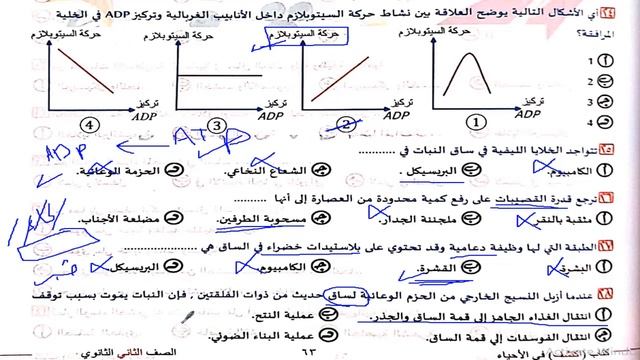 حل اسئلة النقل فى النبات كتاب اكتشف 2024 احياء 2ث смотреть онлайн