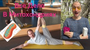 Эффективность Фитнеса
Мой id промокод 869507 Vilavi