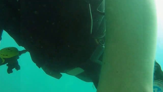 Саша человек амфибия смотреть онлайн