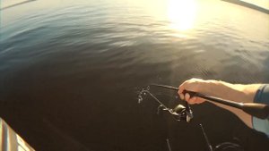 ОГРОМНЫЕ ГОЛАВЛИ С КАЖДОГО ЗАБРОСА! Лучшая голавлевая рыбалка в жизни!