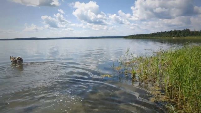 Озеро Чебаркуль. Малоизвестные места легендарного озера смотреть онлайн