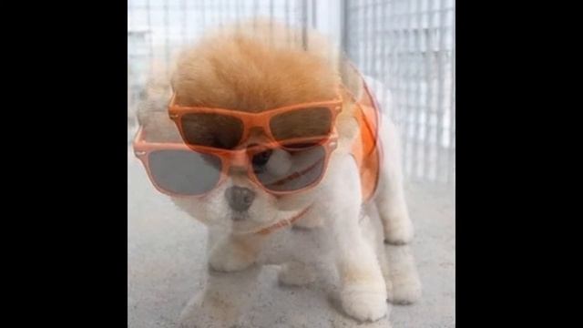 АУУУ МИМИМИШКИ НЯШЕЧКИ :) ^_^ смотреть онлайн