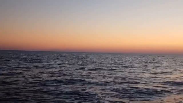 Азовское море.Дельфины. смотреть онлайн