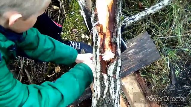 Строим базу в лесу смотреть онлайн