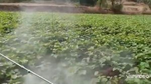 HUSQVARNA SPRAYER 321S15