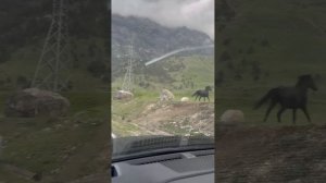 Конференция Норд Инадстриз во Владикавказе 2024 год. Электропривод и его перспективы в России