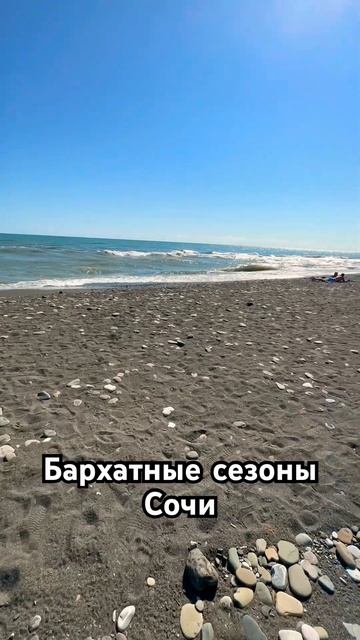 Бархатные сезоны | Сочи #travel #курорт #рек #сочи #сириус #море #путешествие #путешествия смотреть онлайн