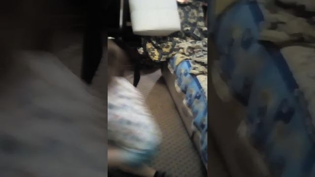 Ваня укусил брата смотреть онлайн